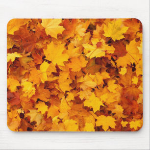 Mousepad Folhas de outono