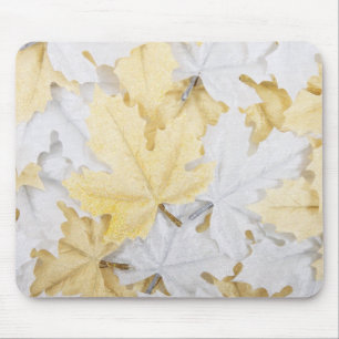 Mousepad Folhas de outono