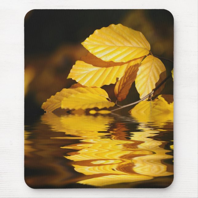 Mousepad Folhas de outono (Frente)