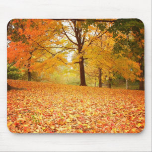 Mousepad Folhas de outono, Central Park, Nova Iorque