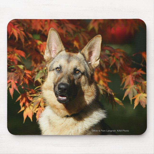Mousepad Folhas de outono do german shepherd (Frente)