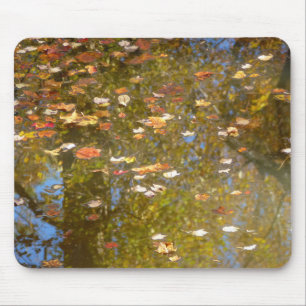 Mousepad Folhas de outono e Reflexão de Fluxo em Greenbelt