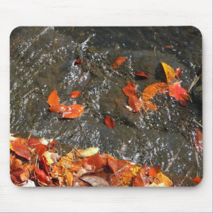 Mousepad Folhas de outono em Cágua Fotografia de outono I