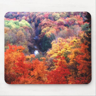 Mousepad Folhas de Outono Mudando de Cor