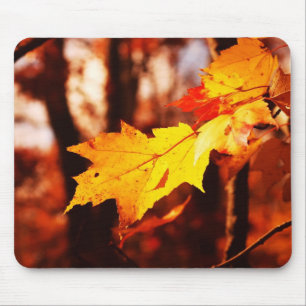 Mousepad Folhas de outono no Poconos