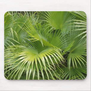 Mousepad Folhas de palmeira