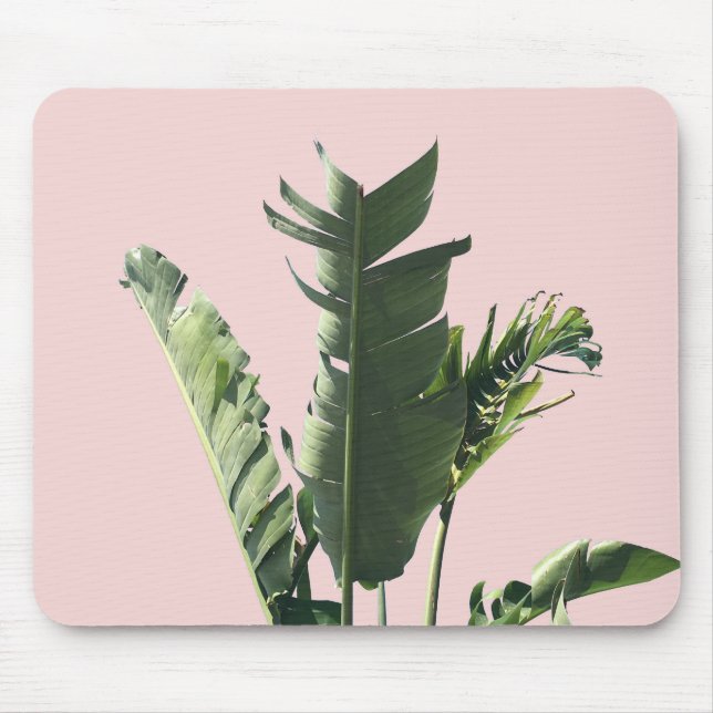 Mousepad folhas de palmeira no rosa (Frente)