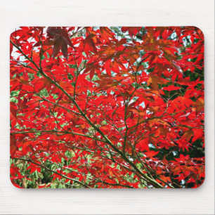 Mousepad Folhas do vermelho