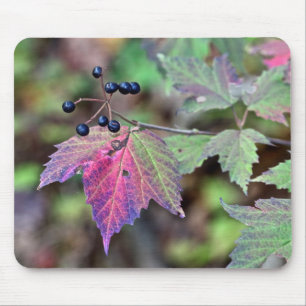 Mousepad Folhas e bagas de outono do Viburnum de Mapleleaf