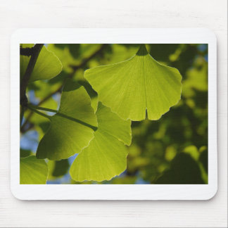 Mousepad Folhas Sunlit da nogueira-do-Japão