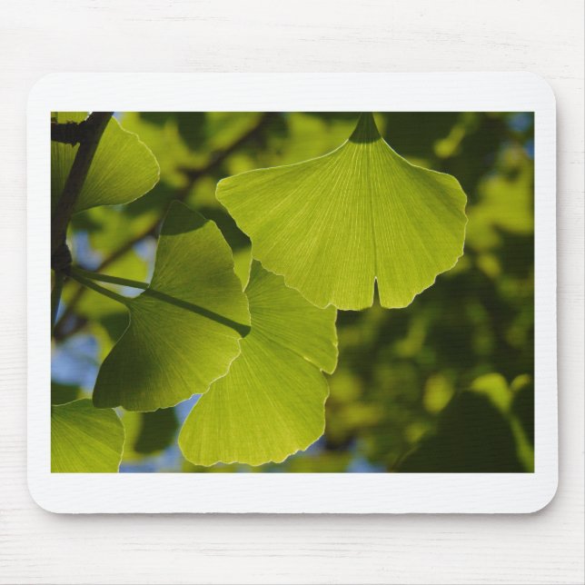 Mousepad Folhas Sunlit da nogueira-do-Japão (Frente)