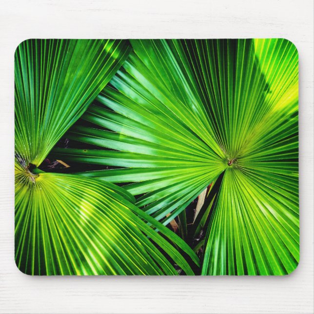 Mousepad Folhas tropicais (Frente)