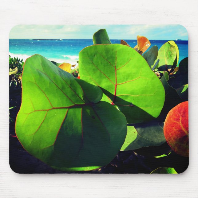 Mousepad Folhas Tropicais Redondas (Frente)