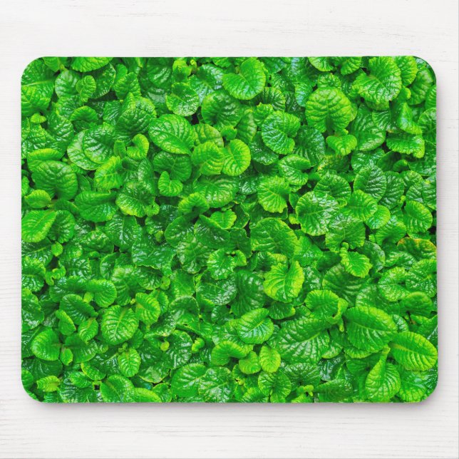 Mousepad Folhas Verdejantes  (Frente)