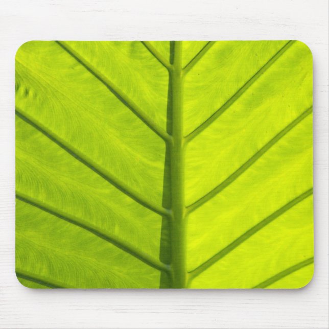 Mousepad Folhas verdes com veias da folhagem tropical em (Frente)