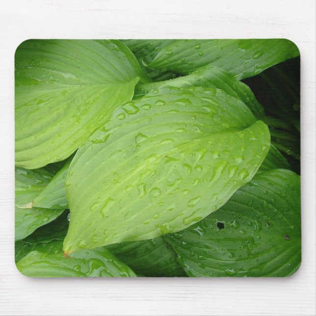 Mousepad folhas verdes, gotas de chuva (Frente)