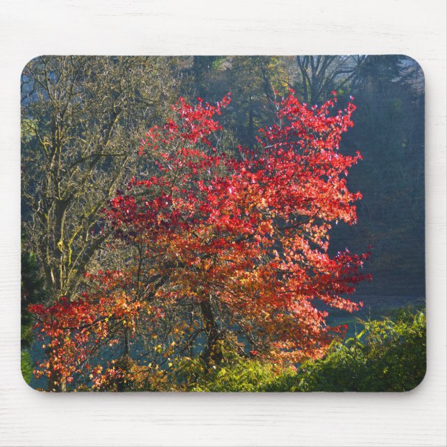 Mousepad Folhas vermelhas (Frente)