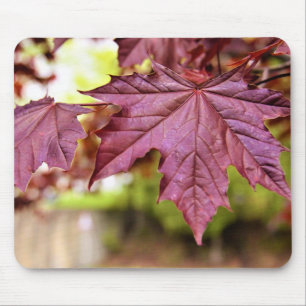 Mousepad Folhas Vermelhas Canadenses