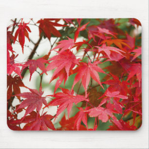 Mousepad Folhas Vibrantes de Bordo Japonês Vermelho Close-U
