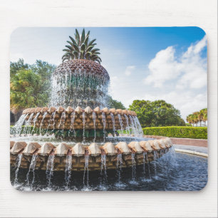 Mousepad Fonte de abacaxi em Charleston, SC