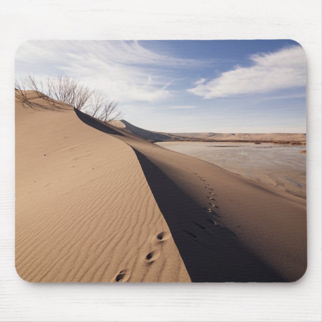 Mousepad Formações de dunas de areia. Parque Estadual das D (Frente)