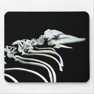 Mousepad Fóssil da baleia cinzenta