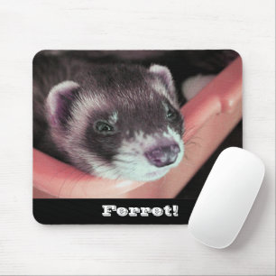 Mousepad Foto Adorável do Ferret Sable