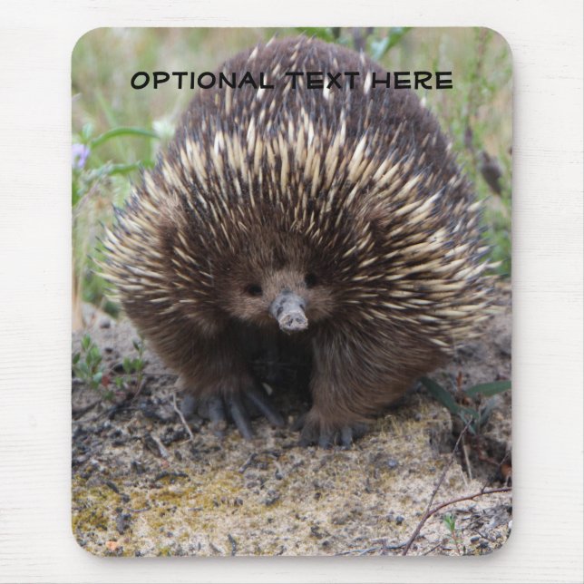 Mousepad Foto animal bonito do Echidna australiano (Frente)