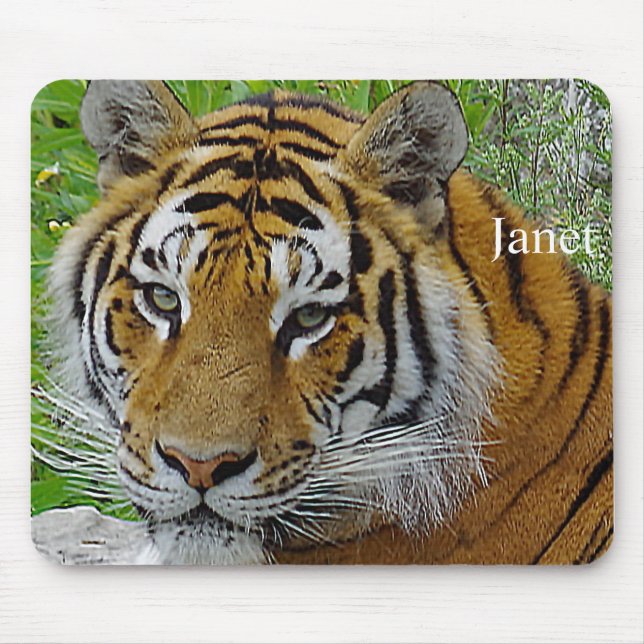 Mousepad Foto aproximada do rosto de tigre siberiano (Frente)