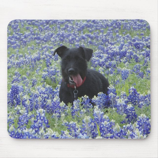 Mousepad Foto bonito do cão de filhote de cachorro do campo (Frente)