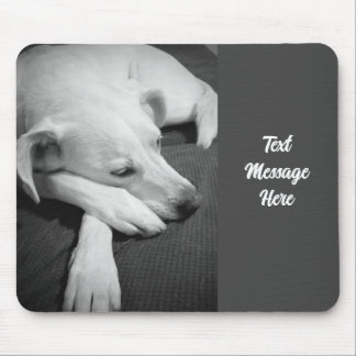Mousepad Foto branca e negra de um lindo cão dormindo