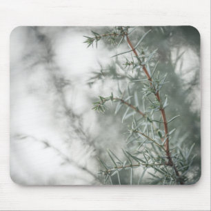 Mousepad Foto comum de natureza de Juniper