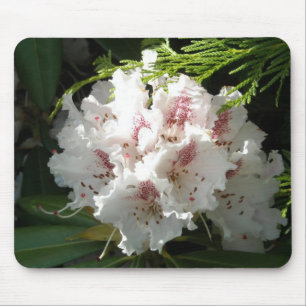 Mousepad Foto cor-de-rosa do rododendro