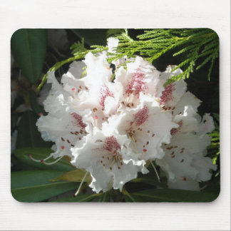 Mousepad Foto cor-de-rosa do rododendro