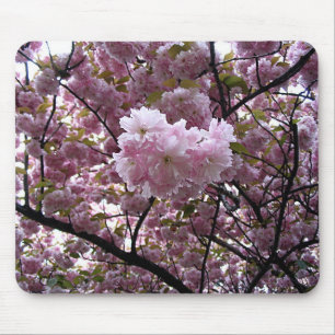 Mousepad Foto da Árvore de Cerejeira Rosa