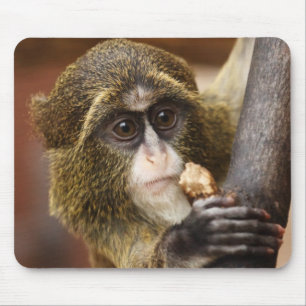 Mousepad Foto da árvore de treinar macaco subindo