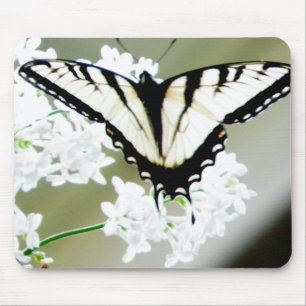 Mousepad Foto da Borboleta do Swallowtail do Tiger Oriental
