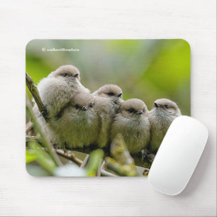Mousepad Foto da Família Songbird, Cute Bushtits