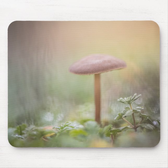 Mousepad Foto da Floresta Mushroom Nature (Frente)