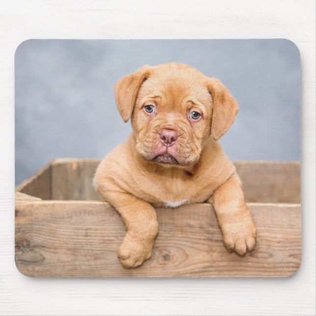 Mousepad Foto de Amor de Cachorro Adorável (Frente)