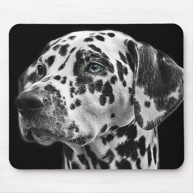 Mousepad Foto de Cão Dalmático em preto e branco (Frente)