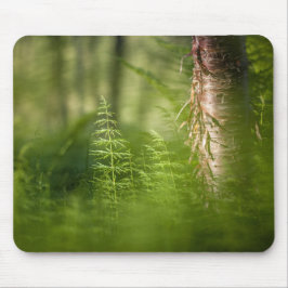 Mousepad Foto de Cavalo Verde