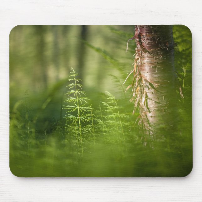 Mousepad Foto de Cavalo Verde (Frente)