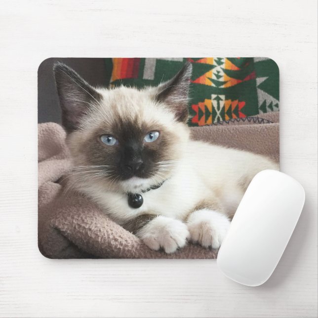 Mousepad Foto De Cristóvão Siamês, De Olhos Azuis, Cute (Com mouse)