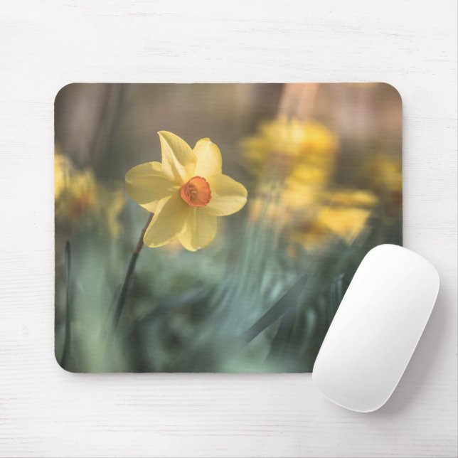 Mousepad Foto de Daffodil natural de Flor Amarelo (Com mouse)