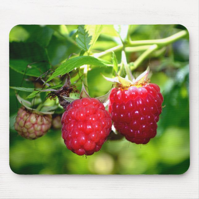 Mousepad Foto de framboesa branca fruta de framboesas amora (Frente)