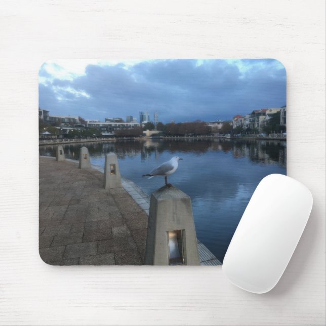 Mousepad Foto de Gaivota (Com mouse)