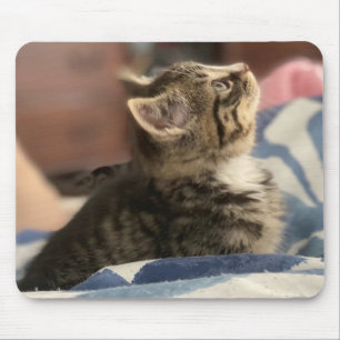 Mousepad Foto de Gatinho Adorável, ou Envie sua Própria Fot