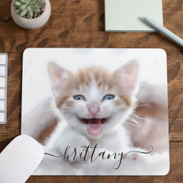 Mousepad Foto De Gatinho De Pet Kitten Da Sua Família Bonit