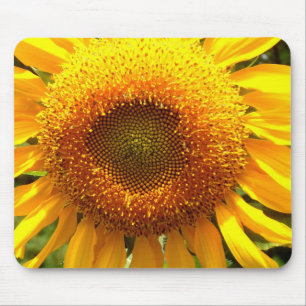 Mousepad Foto de girassol elegante